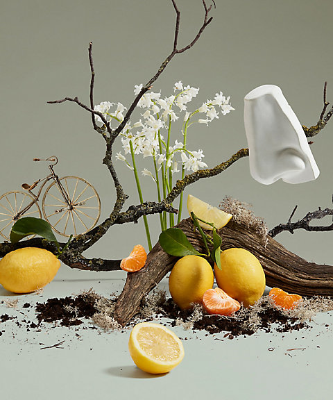 ペンハリガン（PENHALIGONS） クァーカス コロン 通販 | 【ISETAN