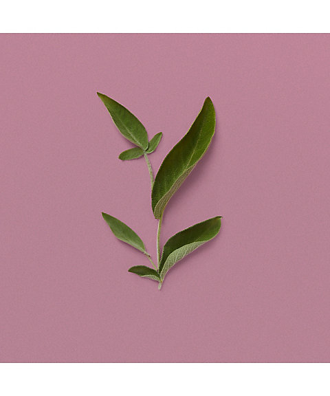 GUCCI beauty（GUCCI beauty） グッチ ムーンライト セレナーデ