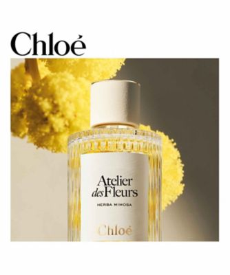 Chloé（Chloé） クロエ アトリエ デ フルール ハーバ ミモザ