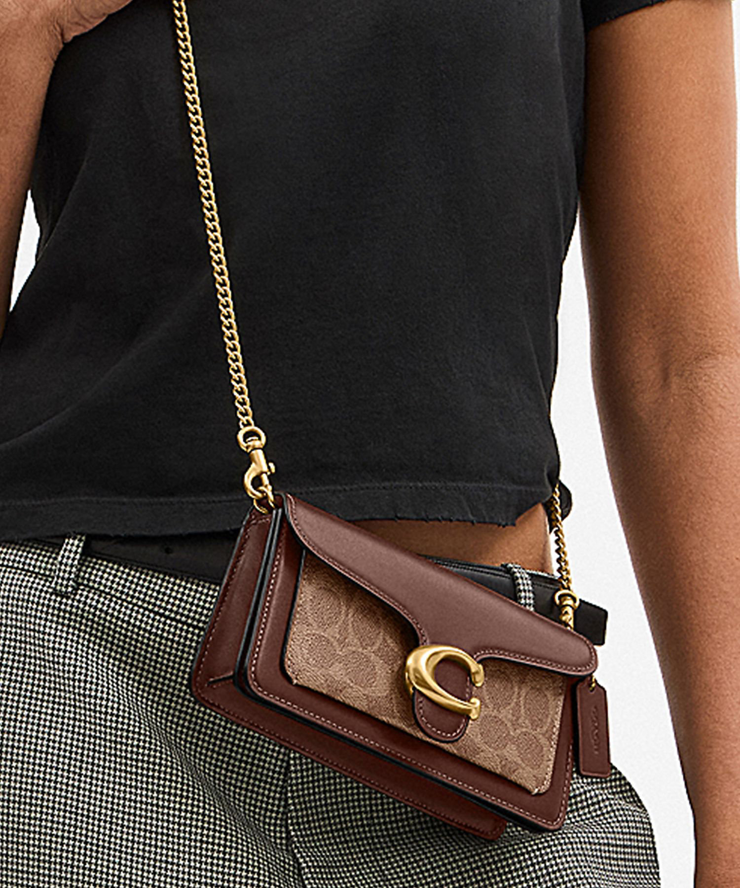 タビー チェーン クロスボディ バッグ 19・シグネチャー キャンバス