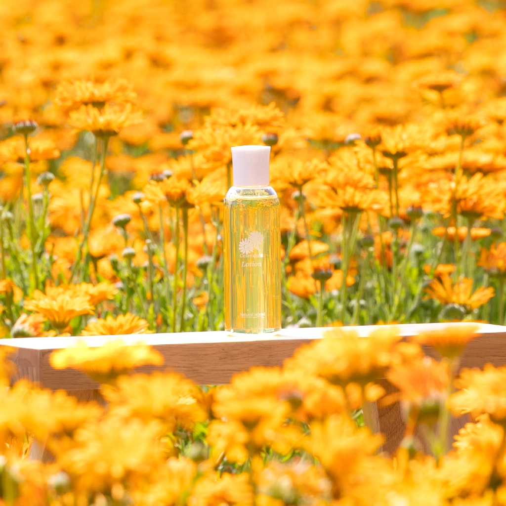 シュウウエムラ 高級天然毛ブラシ他・高級手鏡・リーフレット・未使用