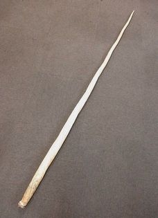 イッカククジラの牙】象牙・犀角・珊瑚・翡翠の買取実績一覧 - いわの美術