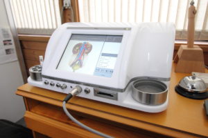 バイオレゾナンス | 愛真道場 いわせ接骨院 公式サイト