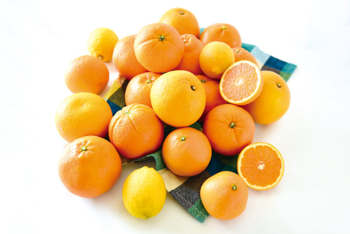 伊藤農園（旅する久世福e商店） | トップページ