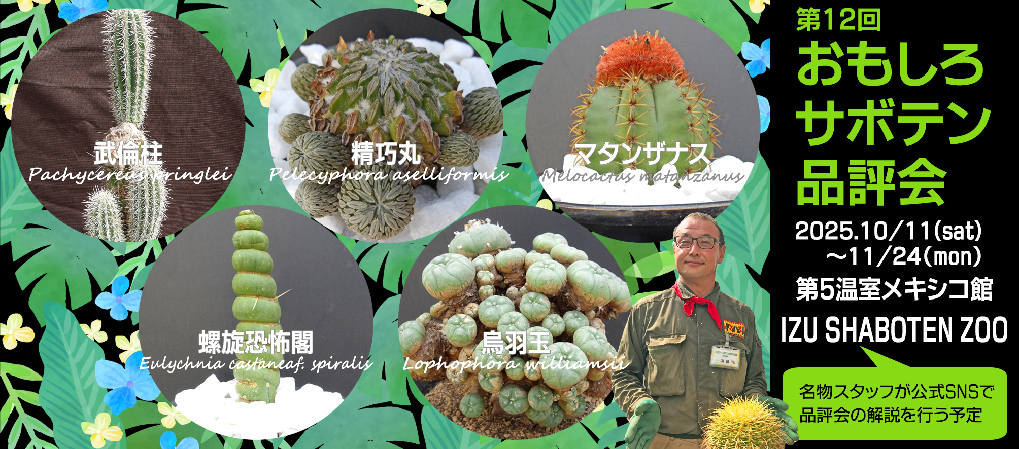 お気に入りのサボテンを選んで投票しよう♪ | トピックス&イベント