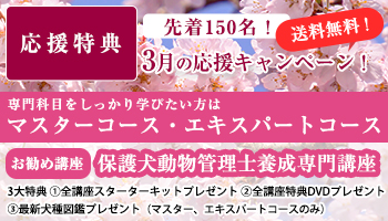 ペット専門通信資格の【日本ケンネルカレッジ】