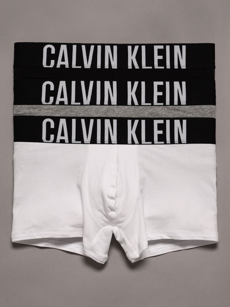 ボクサーパンツ(3枚パック) - Intense Power トランクス | カルバン