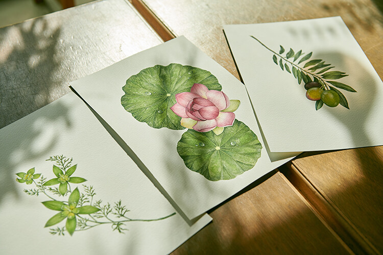 生命力溢れる木々や草花の美しさを、植物画を通して伝える