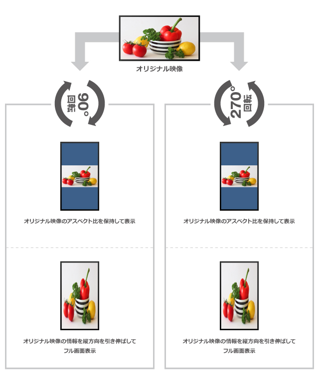 GeoBox G-105 多機能ビデオプロセッサー | ジャパンマテリアルジャパン