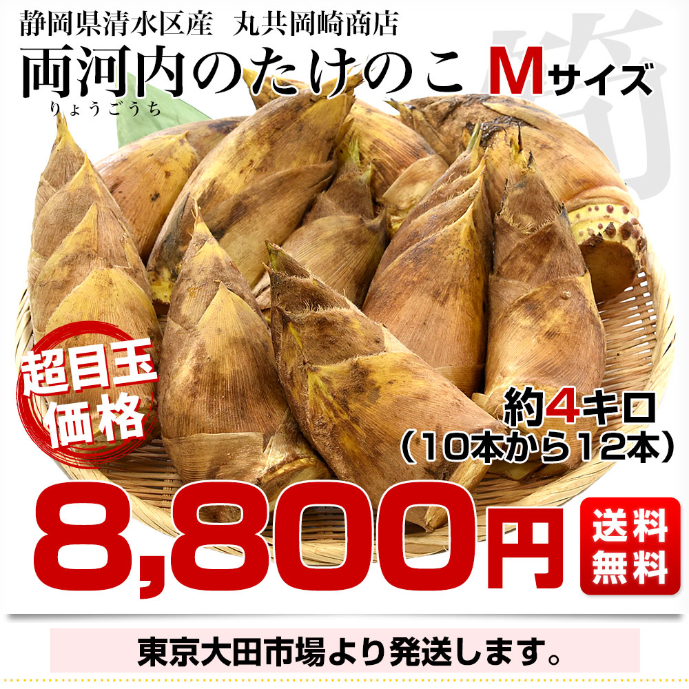 静岡県清水区産 丸共岡崎商店 両河内のたけのこ 約4キロ Mサイズ(10本