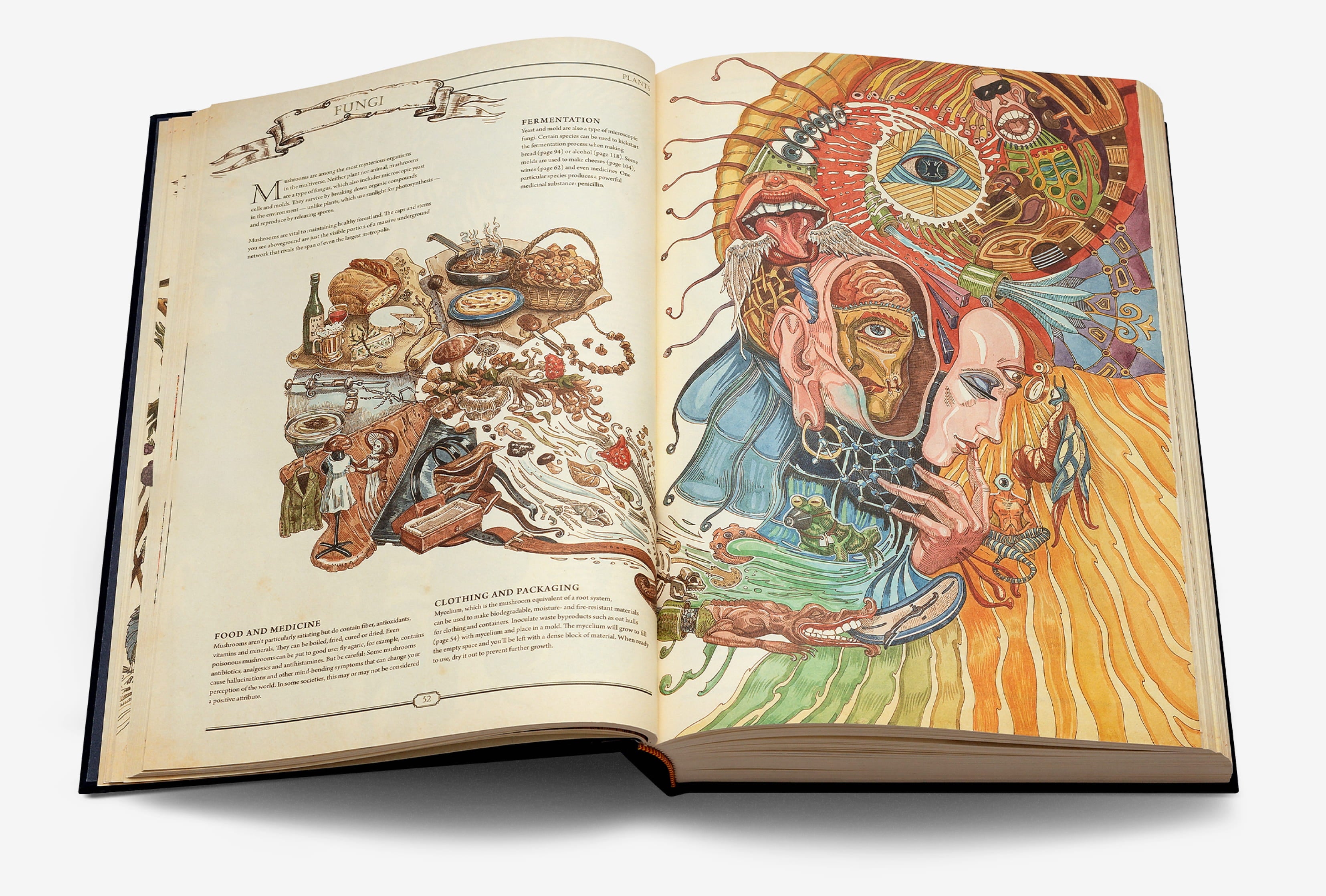 The Book: The Ultimate Guide to Rebuilding Civilization - Hungry Minds