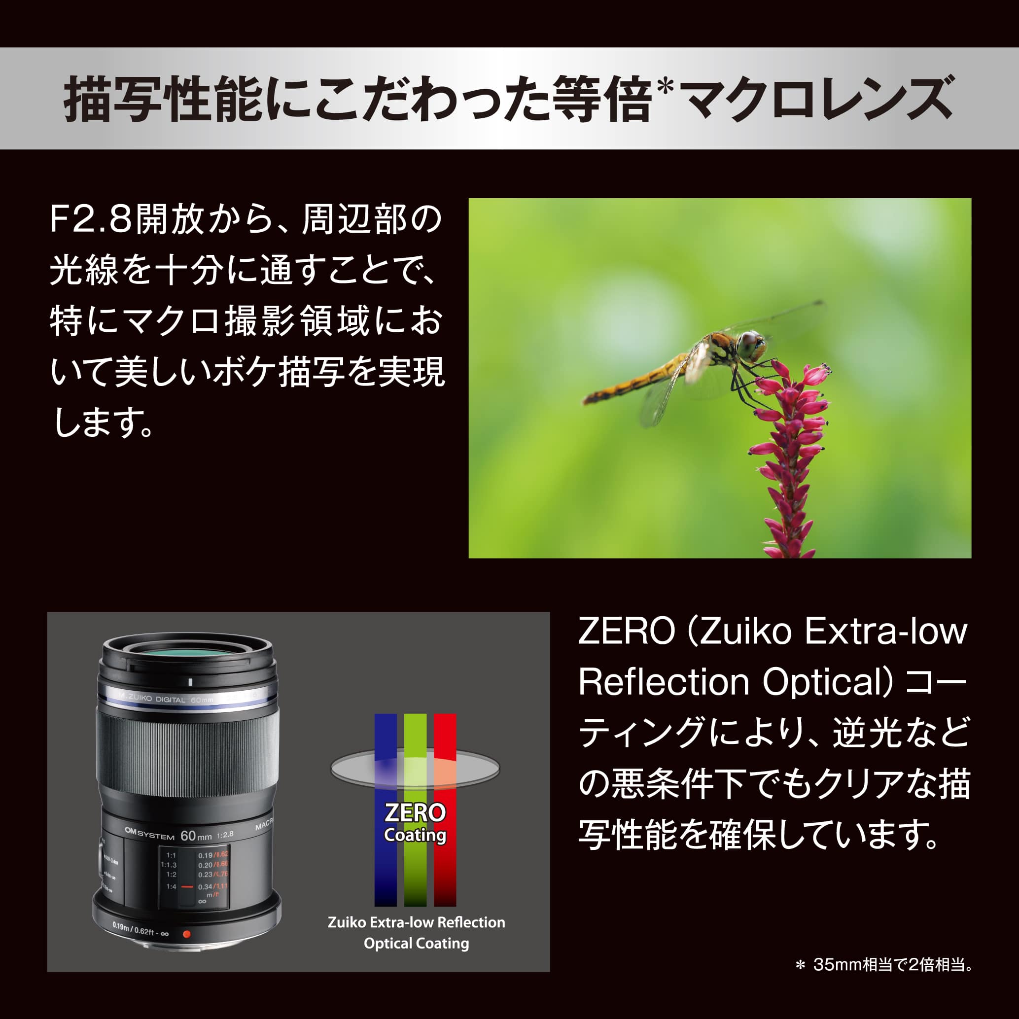 基本情報｜M.ZUIKO DIGITAL ED 60mm F2.8 Macro｜マクロレンズ｜交換