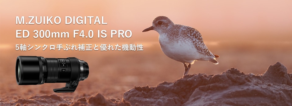基本情報｜M.ZUIKO DIGITAL ED 300mm F4.0 IS PRO｜M.ZUIKO PRO｜単