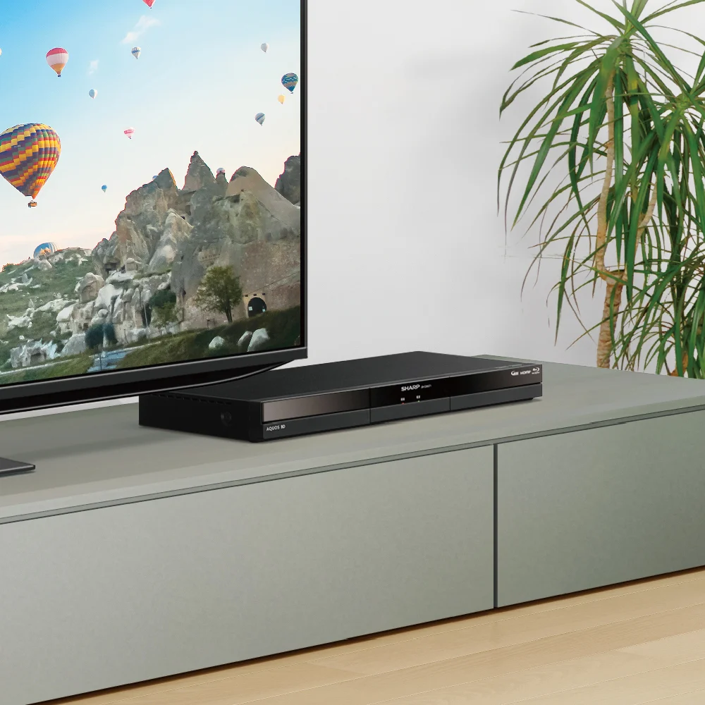 2B-GW1シリーズ | レコーダー：シャープ