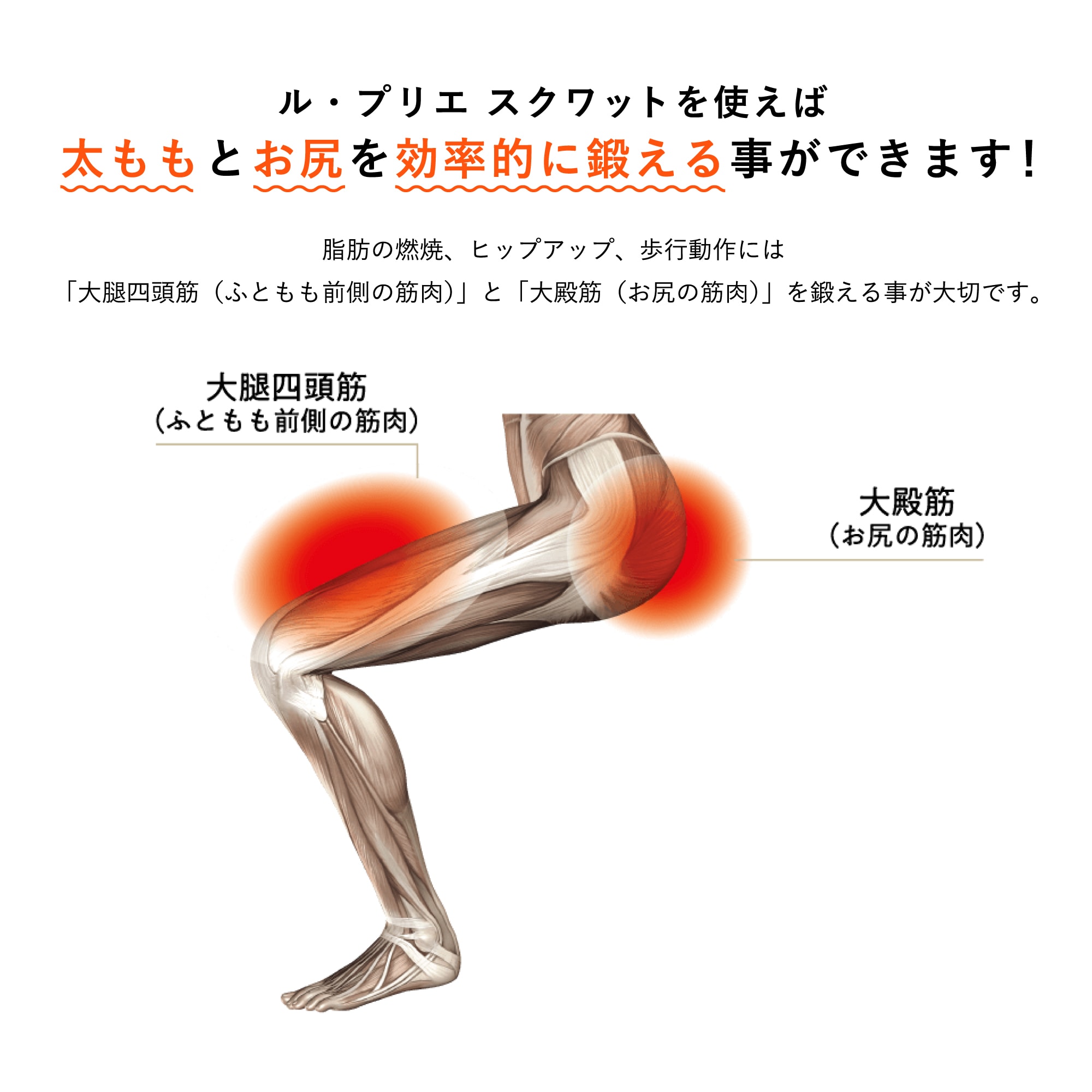 ル・プリエスクワット リニューアル｜ミズノヘルシーインテリア