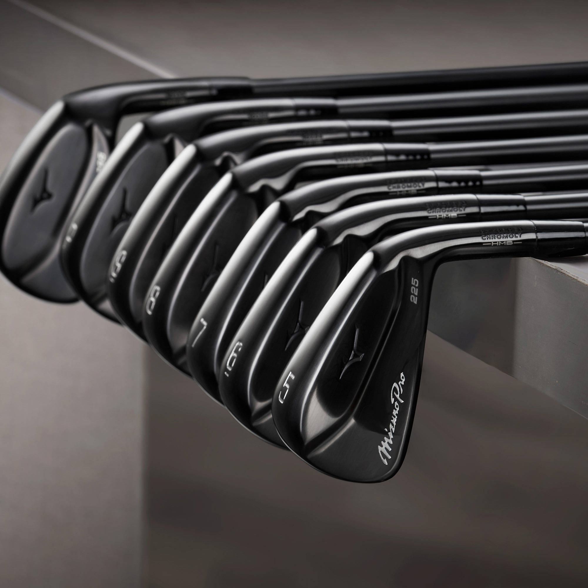 Mizuno Pro 225 アイアン／ブラックIP（Dynamic Gold 95 スチール
