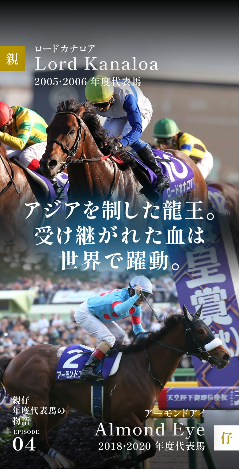 ロードカナロア＆アーモンドアイ|親仔年度代表馬の物語|サラブレッドが
