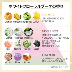 DEW スペリア リペアローション しっとり | 花王公式通販 【My Kao