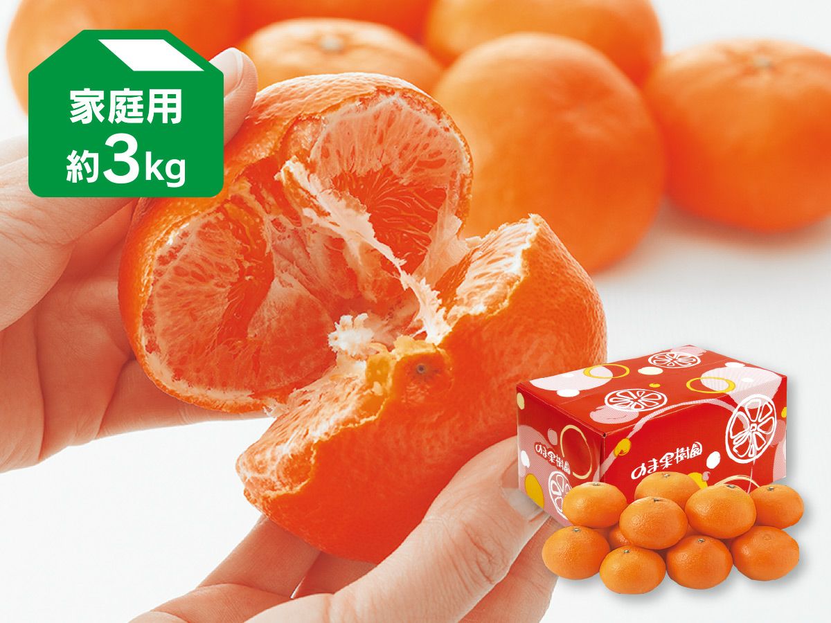 冷凍フルーツ「アソートボックス（5種類）」 合計450g | のま果樹園