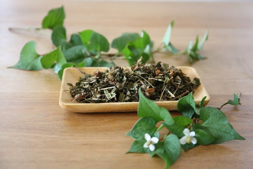 どくだみの効果効能｜チンキやお茶など活用法もご紹介-Food for Well