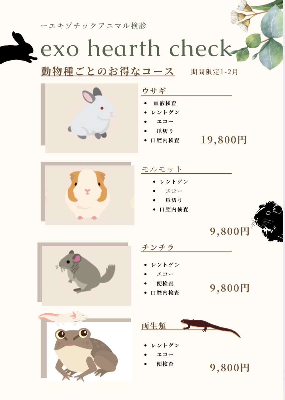 エキゾ検診（健康診断）のお知らせ ウサギ チンチラ モルモット 両生類