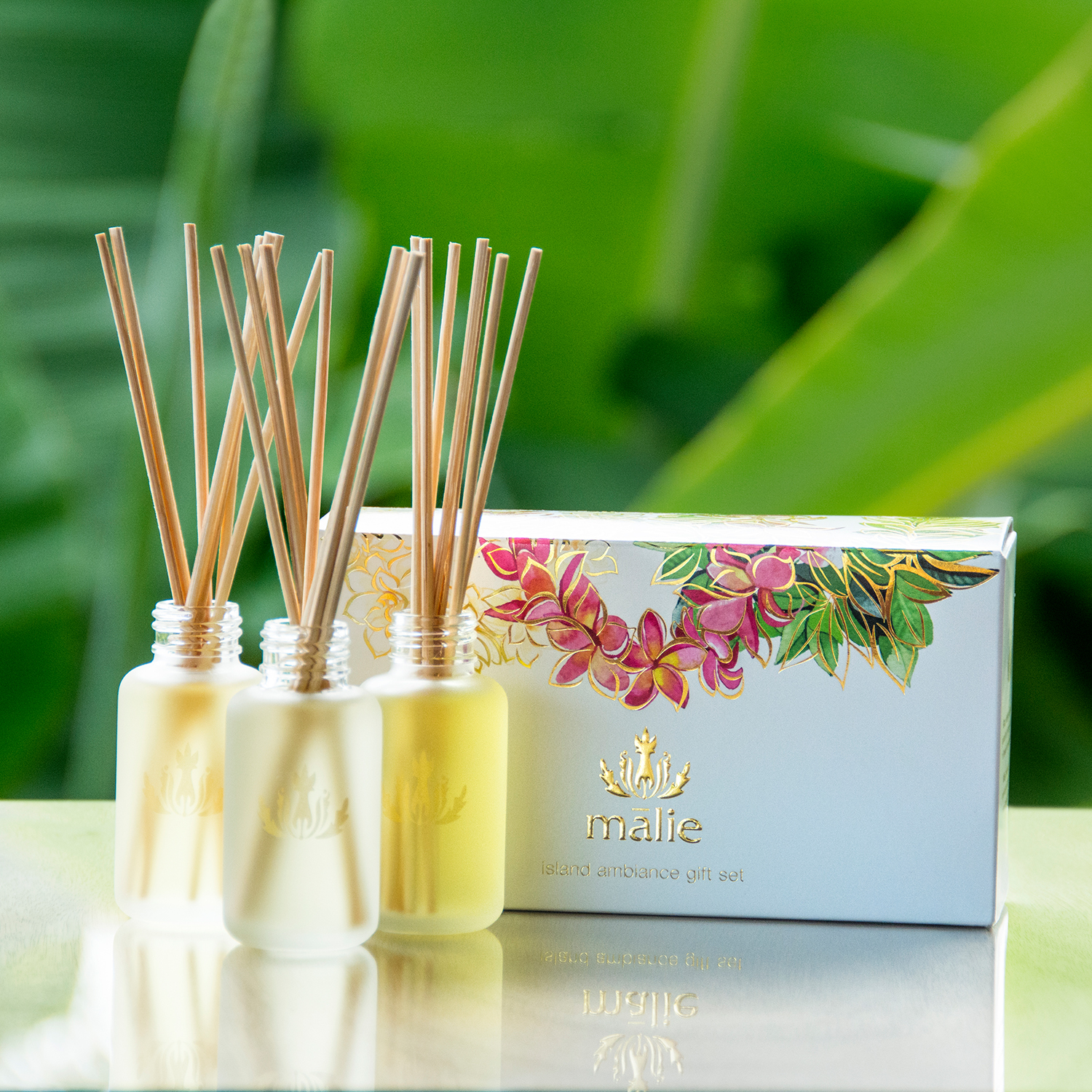 リードディフューザー ギフトセット ｜ KOALABEAUTY ｜ 公式オンライン