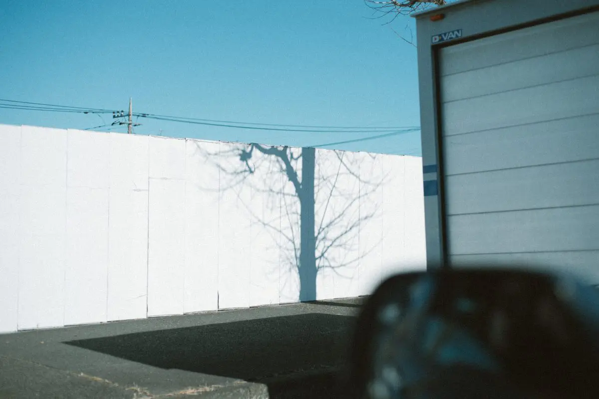 なぜか安価なのに写りはしっかりの「AI AF Nikkor 50mm f/1.8D」実写