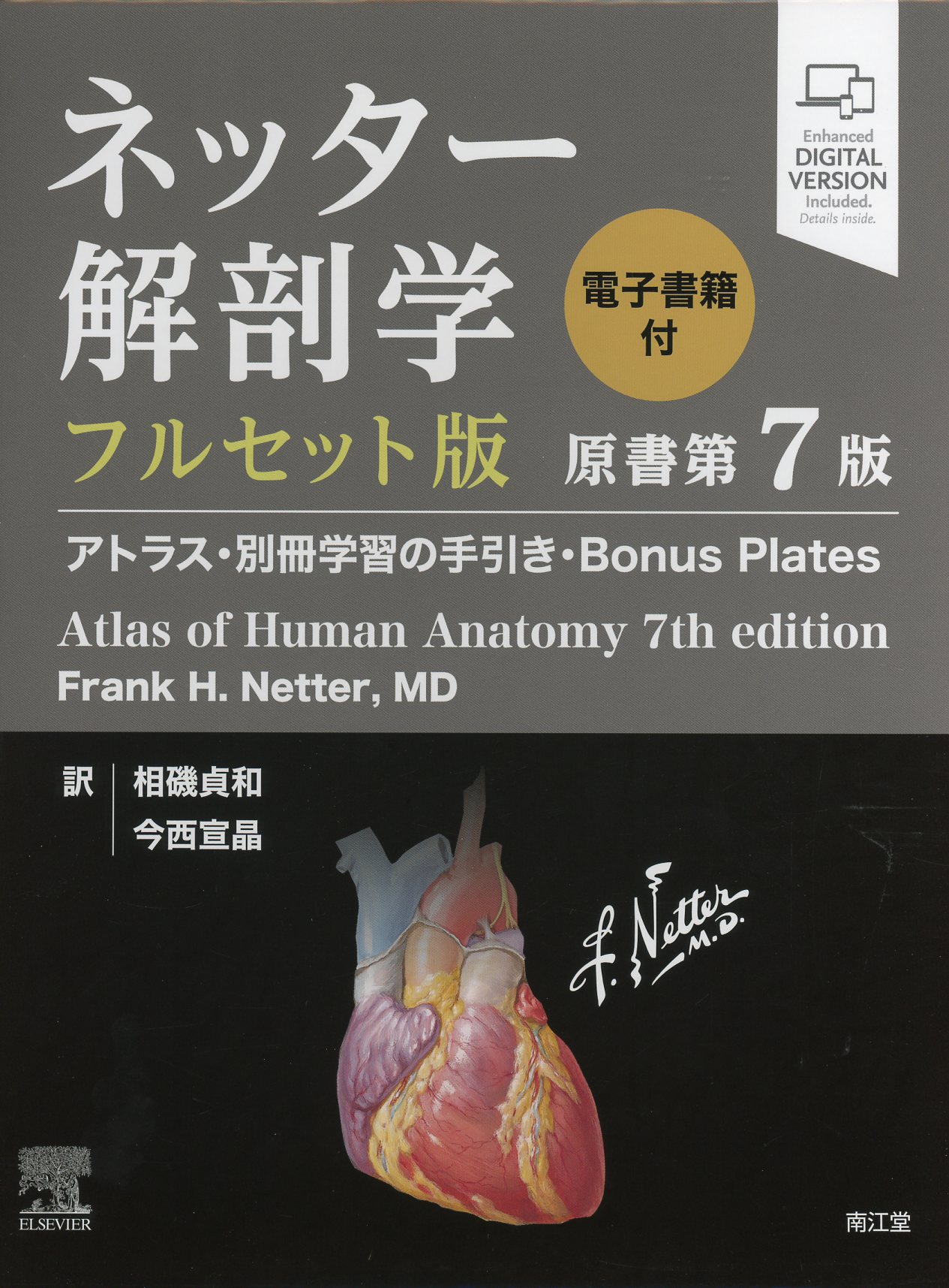 ネッター解剖学 フルセット版 原書第7版 電子書籍付 / 高陽堂書店