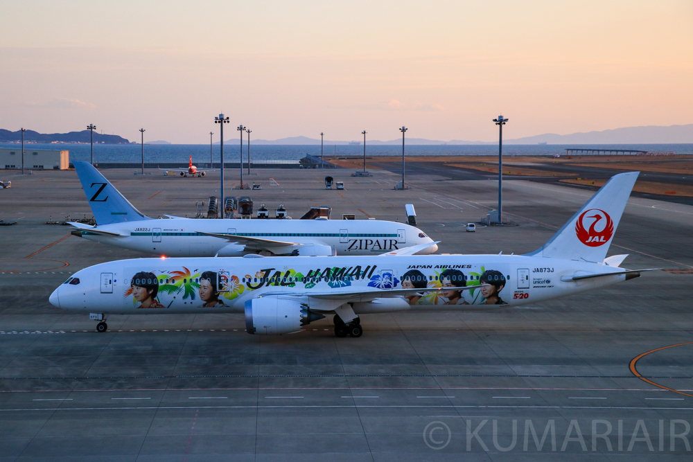 JALハワイ嵐ジェット運航情報】「ARASHI HAWAII JET」はどこで見られる