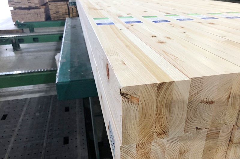 木材標本 3種【日本国産・外国産・熱帯産】 木材標本 3種【日本国産