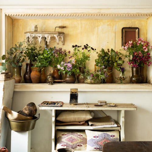 はいいろオオカミ +花屋 西別府商店 】 新しいものの見方に出会える