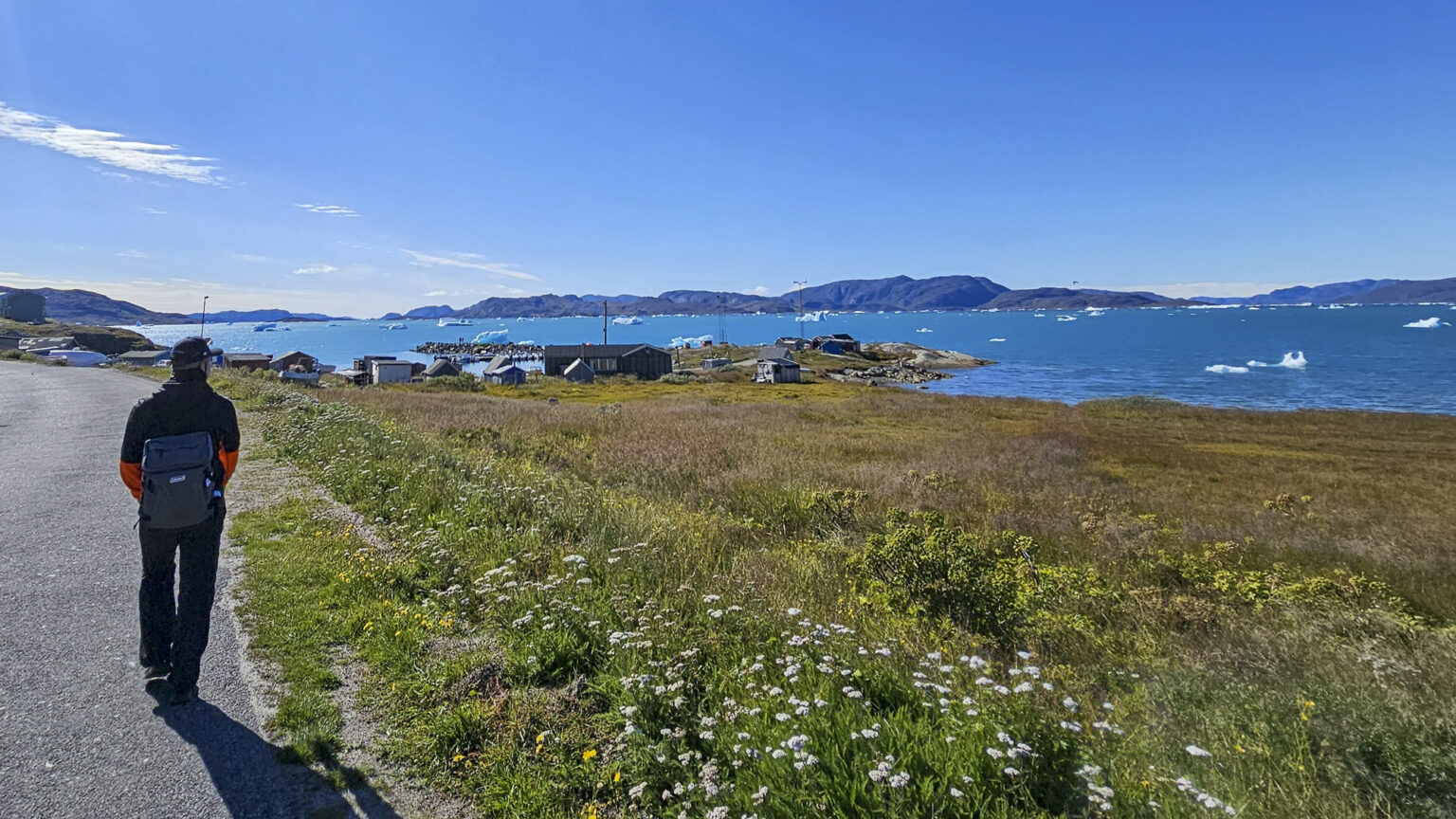 緑豊かなグリーンランドでの大気観測（後編） | 極