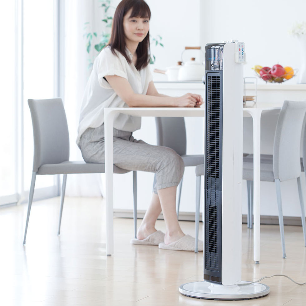 販売終了【アウトレット】ホット＆クールハイタワーDCモーターKHF-1221