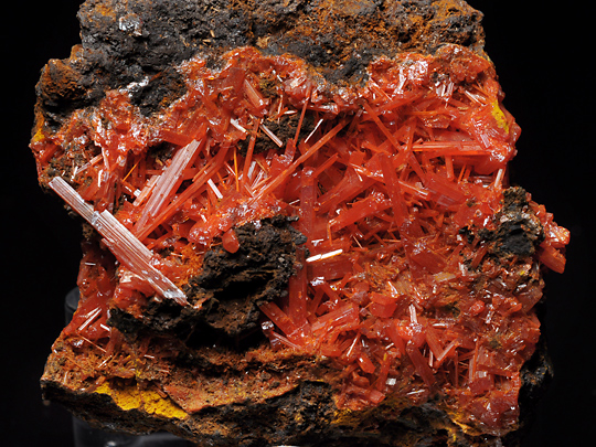 紅鉛鉱 Crocoite 鉱物たちの庭