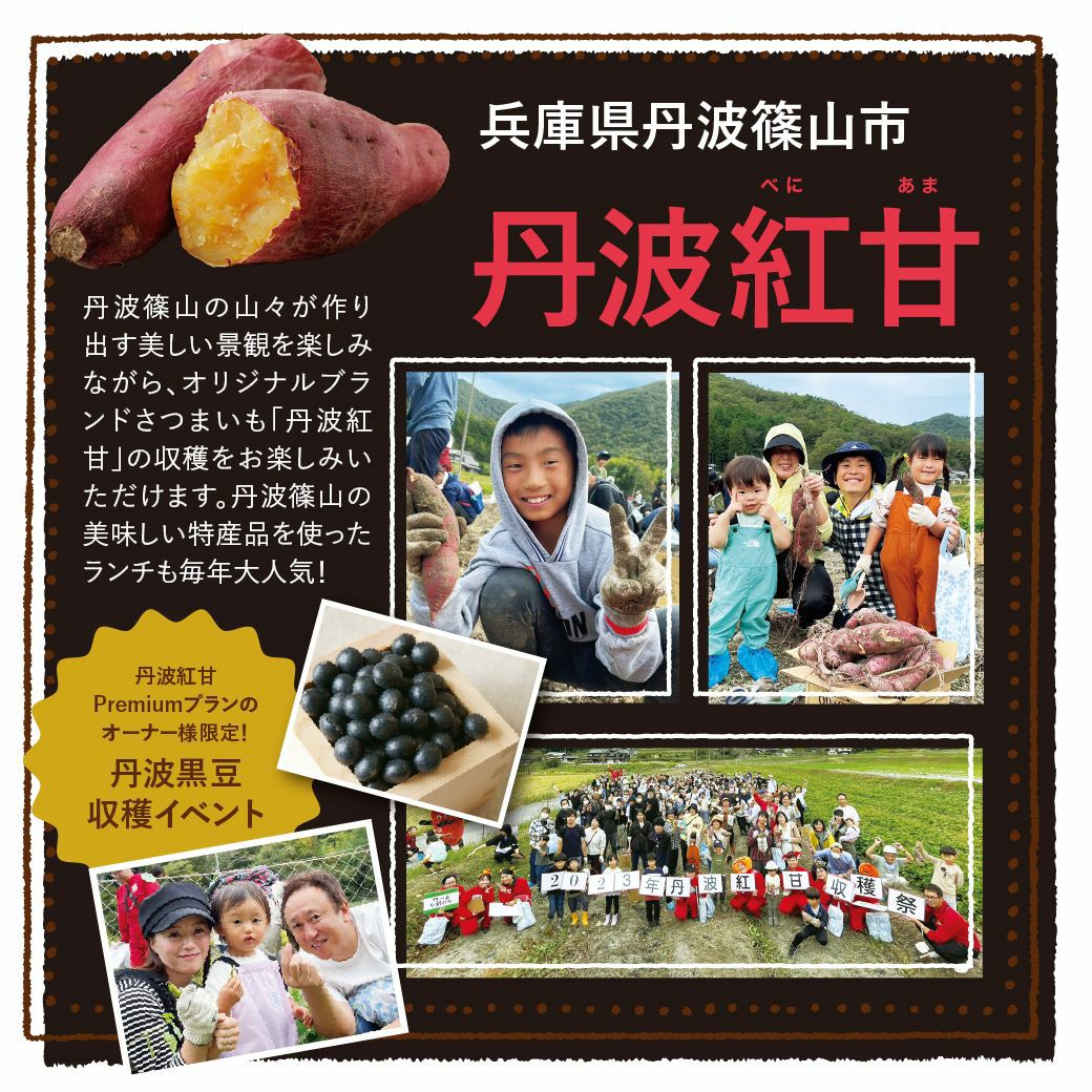 おいも株オーナー制度苗植会・収穫祭 | 【公式通販】らぽっぽファーム