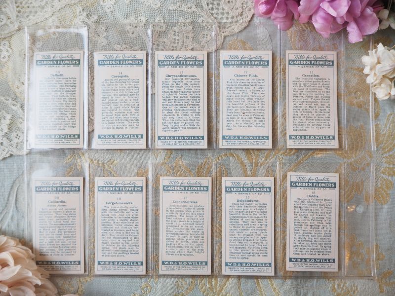 シガレットカード/花シリーズ/10枚セット carte・カード