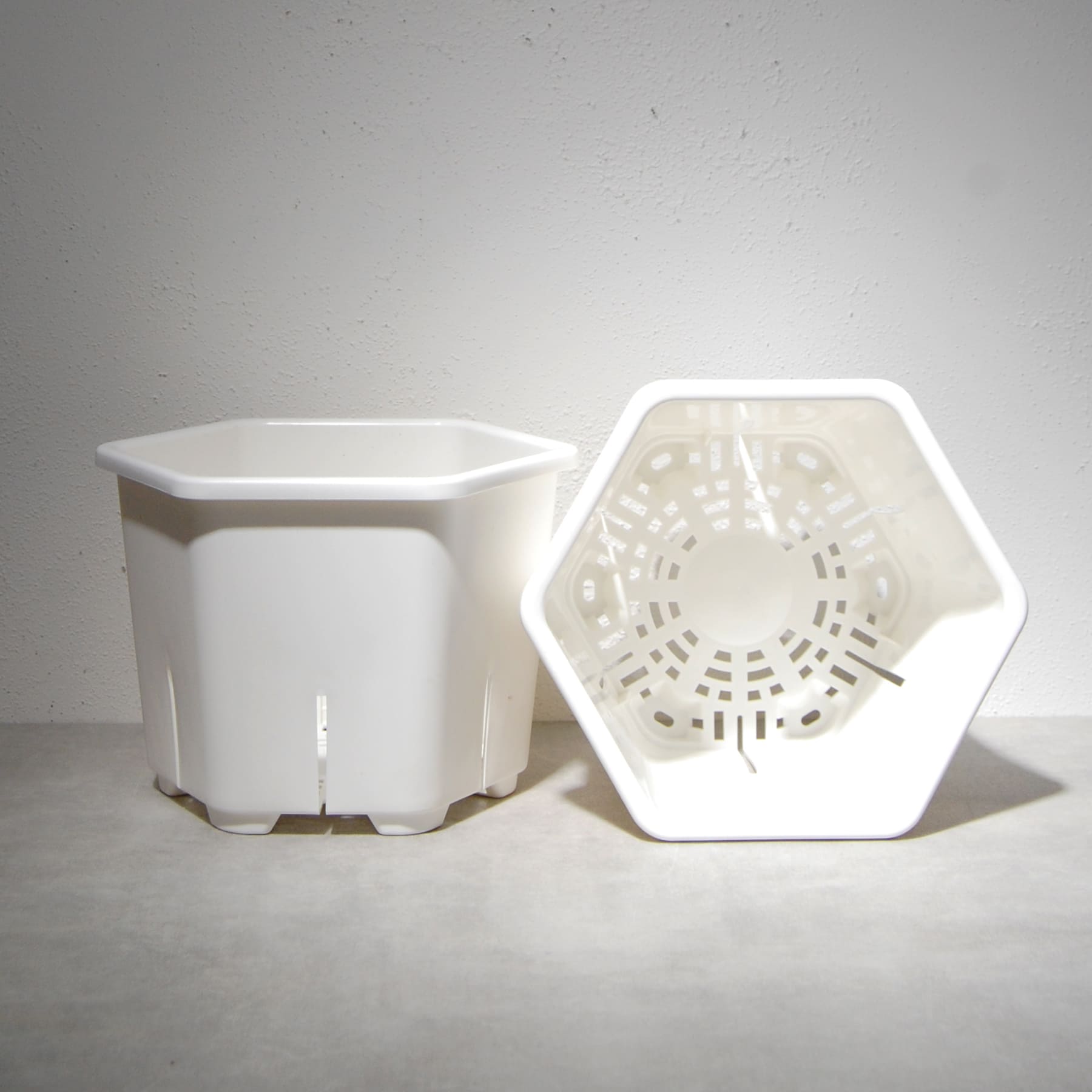 HexaPot（ヘキサポット）六角形プラ鉢 5号相当 – linkplants -リンク