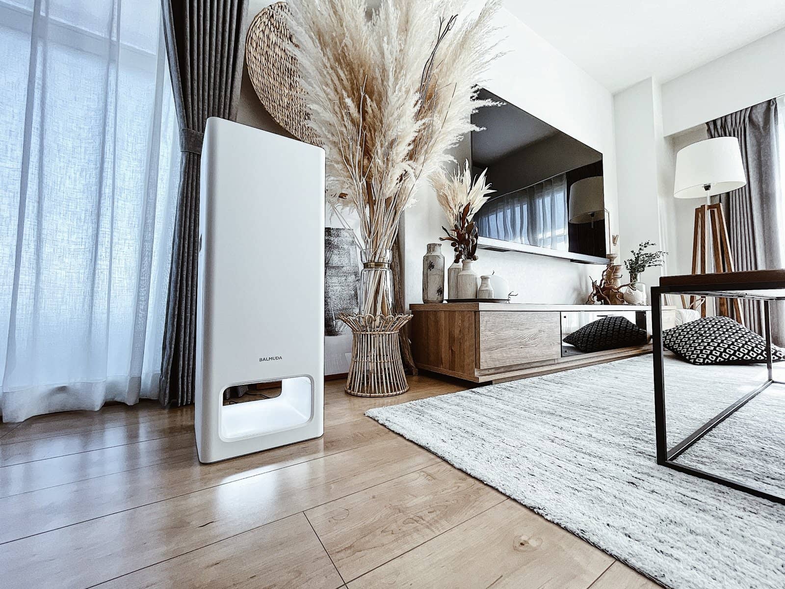 花粉症に最適】おすすめ空気清浄機BALMUDA The Pureの購入した理由と