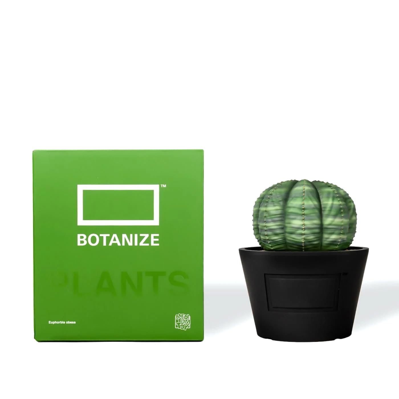 Amazon.co.jp: MEDICOM TOY × BOTANIZE VCD Euphorbia obesa var