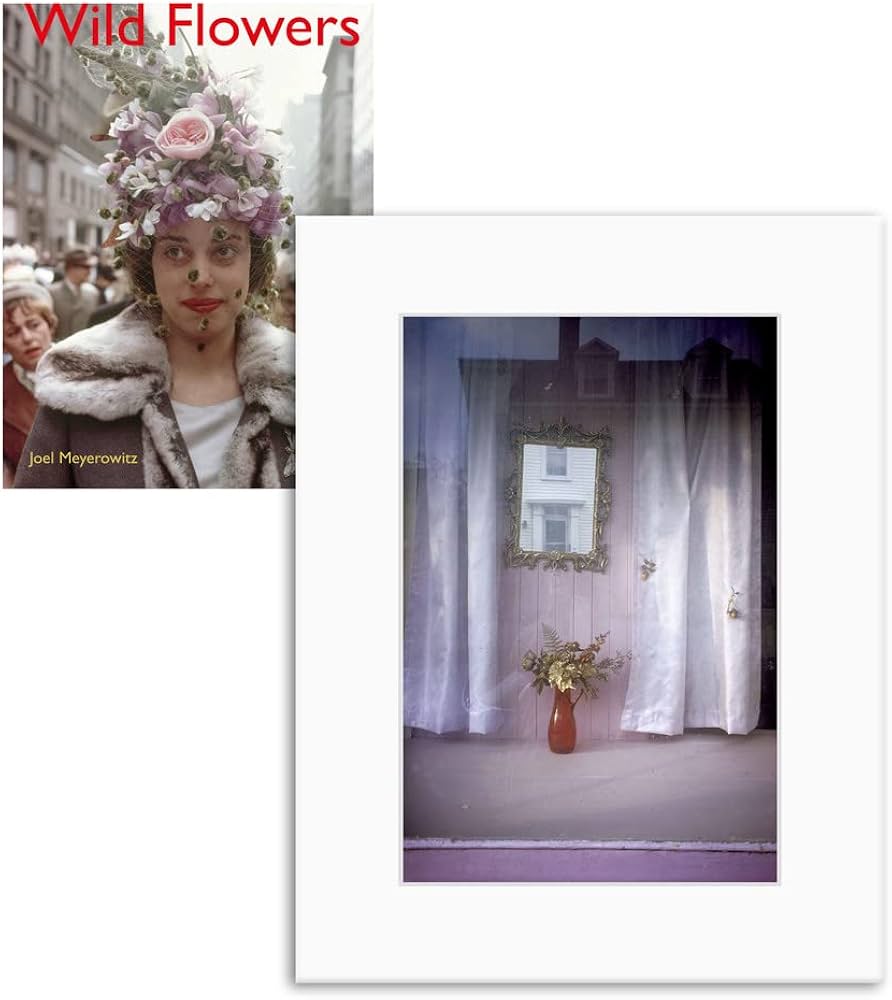 Amazon.co.jp: Joel Meyerowitz - Wild Flowers : Meyerowitz, Joel