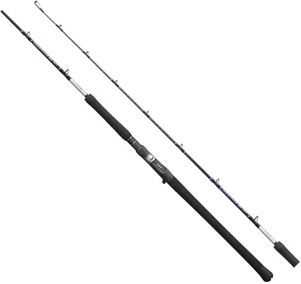 Amazon | シマノ(SHIMANO) ソルトウォーターロッド オフショア