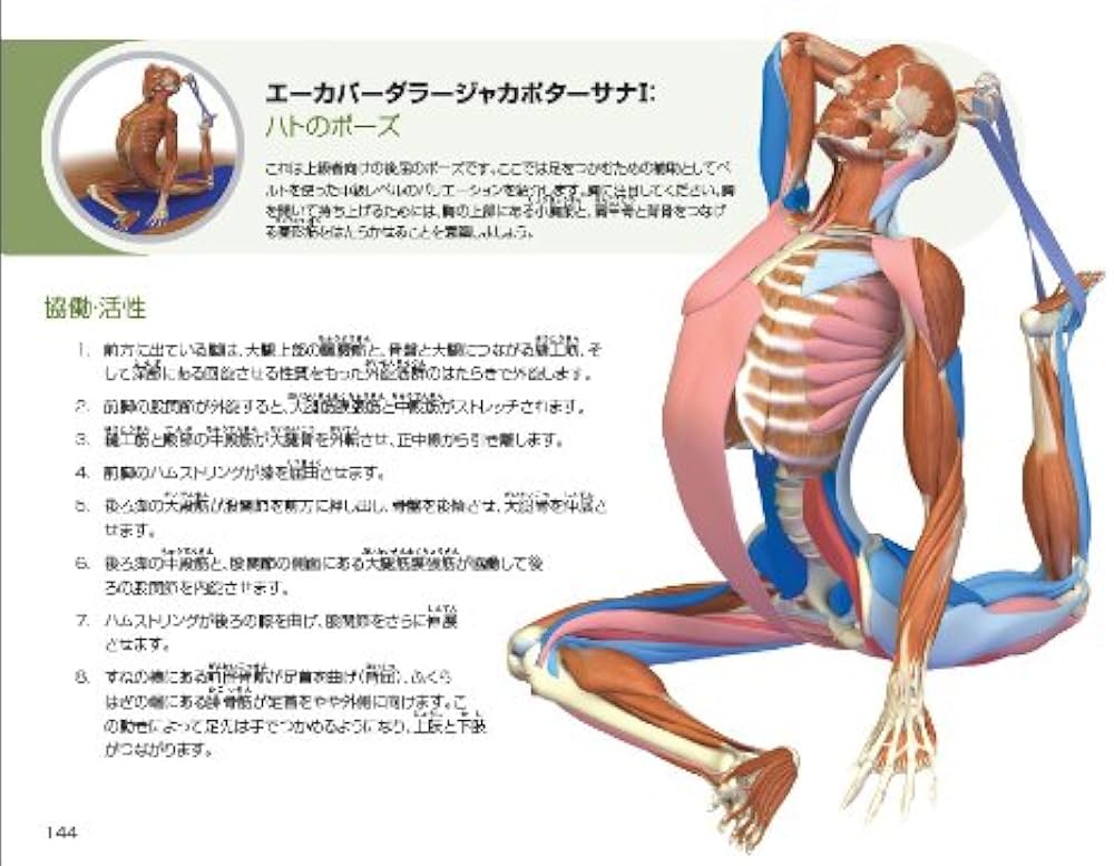 図解YOGAアナトミー:アーサナ編 - 医師が解説するヨガの機能解剖学
