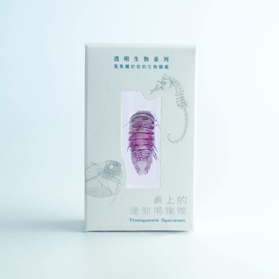 Amazon.co.jp: 透明標本、西太平洋の生物、グソクムシ : おもちゃ