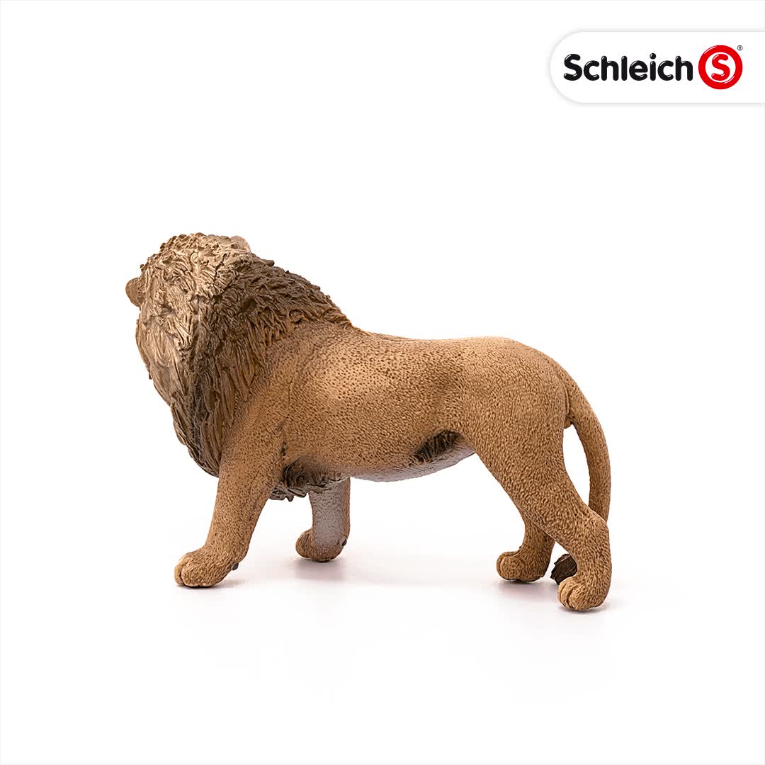 Amazon.co.jp: シュライヒ ワイルドライフ ライオン (吠える