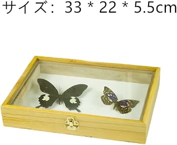 51+9jKe67US._AC_UF350,