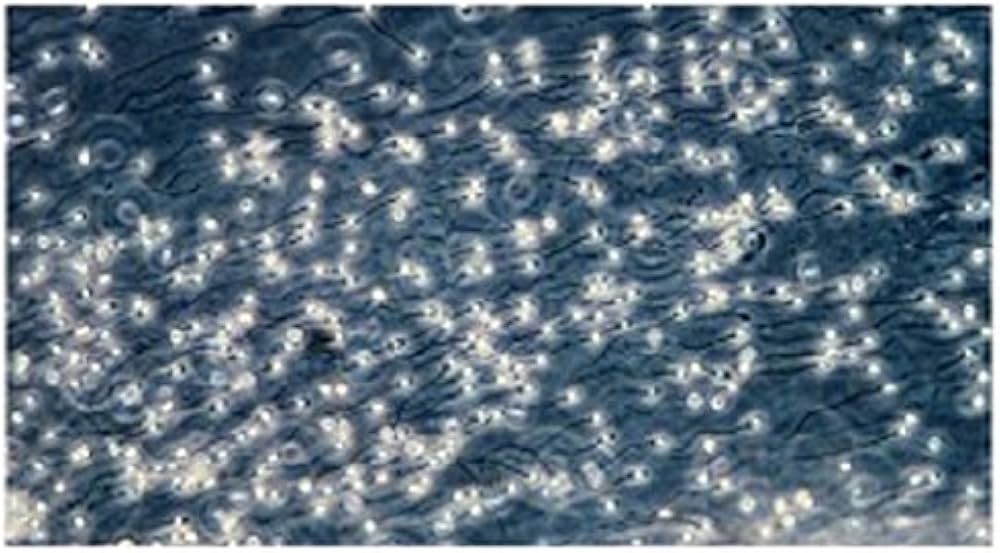 A Child is Born 赤ちゃんの誕生 | レナルト・ニルソン, ラーシュ