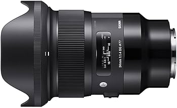 Amazon.com : Sigma 24mm F/1.4 DG HSM Art Lens for Sony E (401965