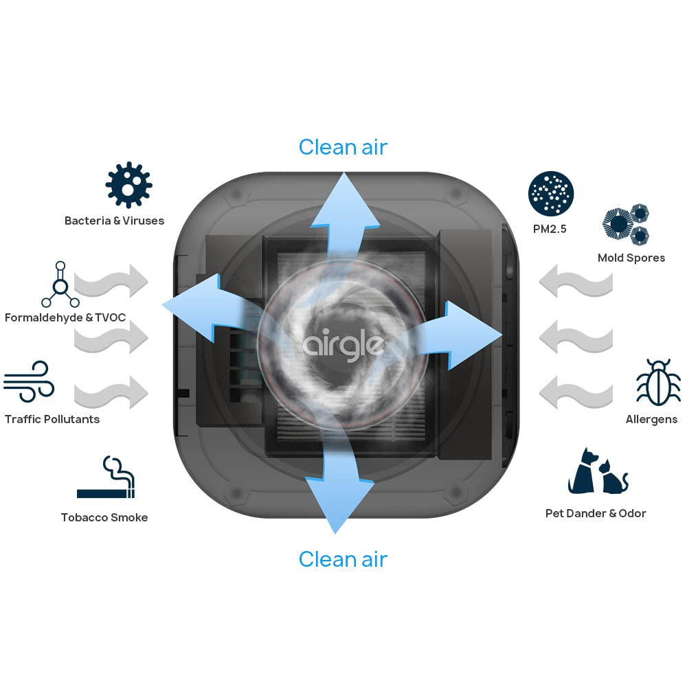 Amazon.com: Airgle AG25 Personal Air Purifier - cHEPA Filter with