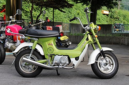 Amazon | ミニモト シャリィSPクラシックマフラーソリッド | フル