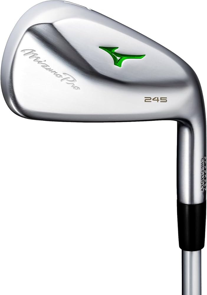 Amazon.co.jp: ミズノ（MIZUNO） Mizuno Pro 245 アイアン スチール